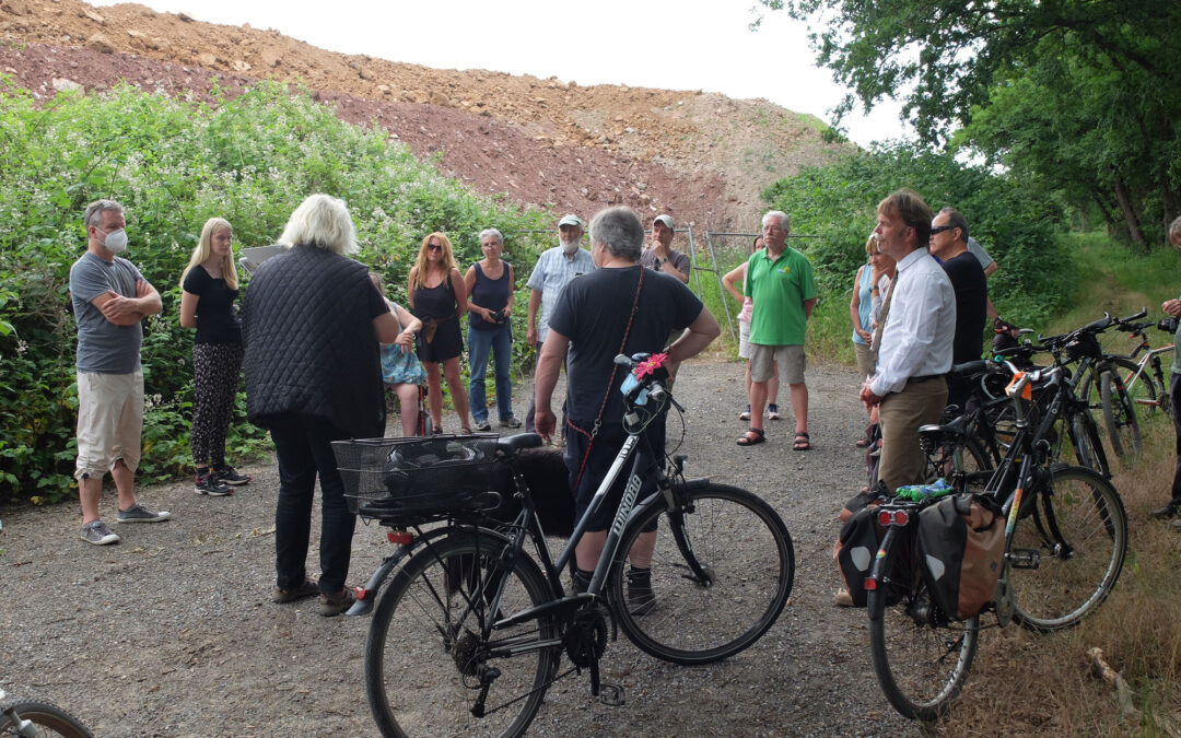 Grüner Besuch aus Baben­hausen, dem Rodgau, Hainburg und Seligenstadt