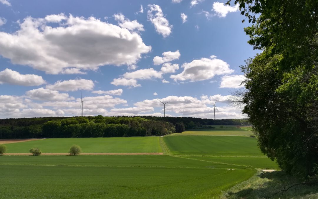 ￼Besuch im Windpark Hünfel­dener Wald am 13.11.2022